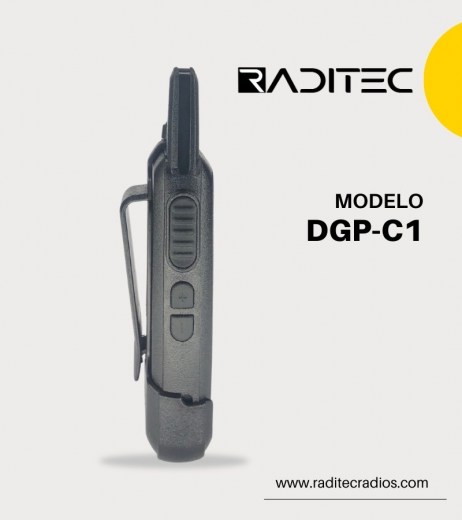DGP-C1 (4)
